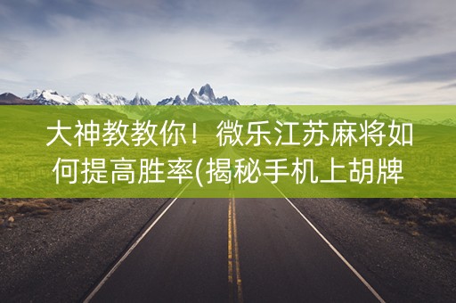 大神教教你！微乐江苏麻将如何提高胜率(揭秘手机上胡牌技巧)