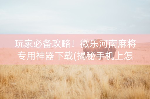 玩家必备攻略！微乐河南麻将专用神器下载(揭秘手机上怎么容易赢)