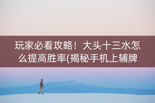 玩家必看攻略！大头十三水怎么提高胜率(揭秘手机上辅牌器)