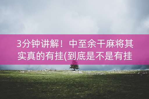 3分钟讲解！中至余干麻将其实真的有挂(到底是不是有挂)