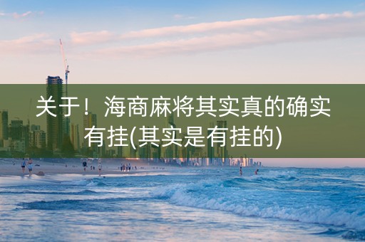关于！海商麻将其实真的确实有挂(其实是有挂的)