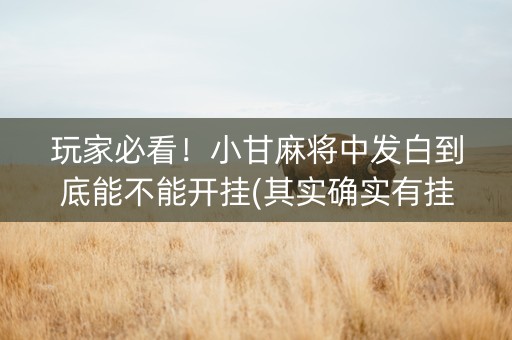玩家必看！小甘麻将中发白到底能不能开挂(其实确实有挂)