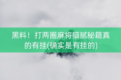 黑料！打两圈麻将猫腻秘籍真的有挂(确实是有挂的)