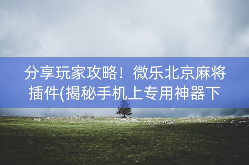 分享玩家攻略！微乐北京麻将插件(揭秘手机上专用神器下载)