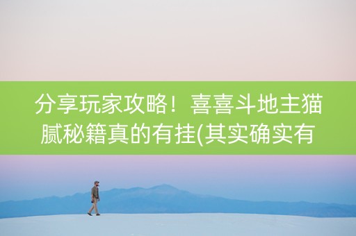 分享玩家攻略！喜喜斗地主猫腻秘籍真的有挂(其实确实有挂)
