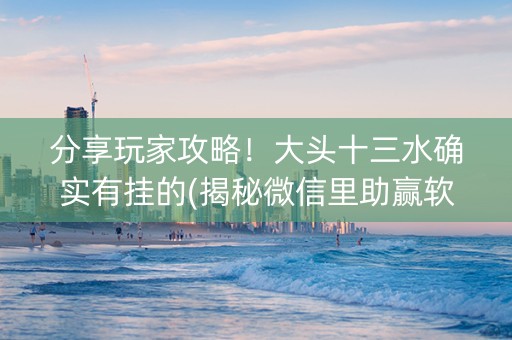 分享玩家攻略！大头十三水确实有挂的(揭秘微信里助赢软件)