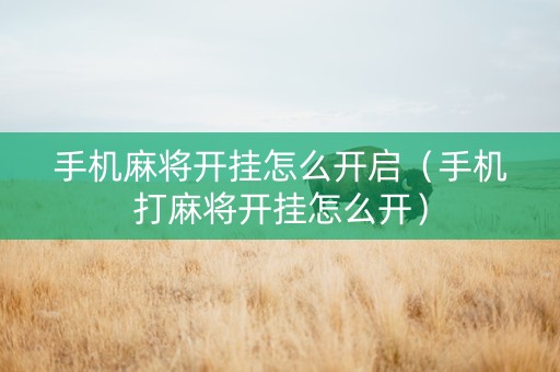 手机麻将开挂怎么开启（手机打麻将开挂怎么开）