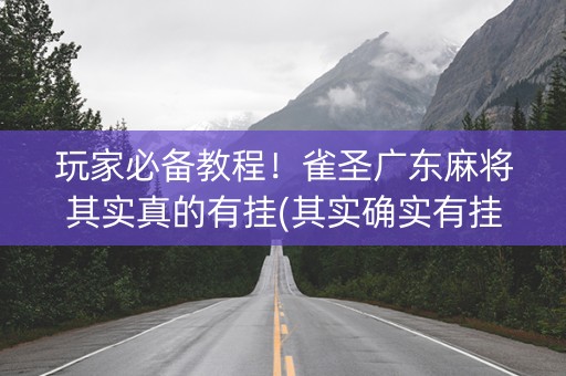 玩家必备教程！雀圣广东麻将其实真的有挂(其实确实有挂)