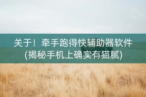 关于！牵手跑得快辅助器软件(揭秘手机上确实有猫腻)