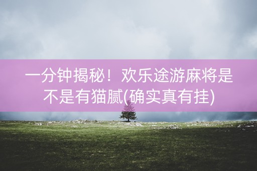 一分钟揭秘！欢乐途游麻将是不是有猫腻(确实真有挂)