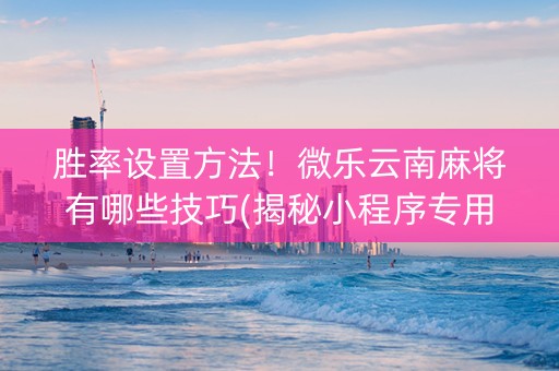 胜率设置方法！微乐云南麻将有哪些技巧(揭秘小程序专用神器)