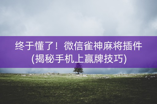 终于懂了！微信雀神麻将插件(揭秘手机上赢牌技巧)