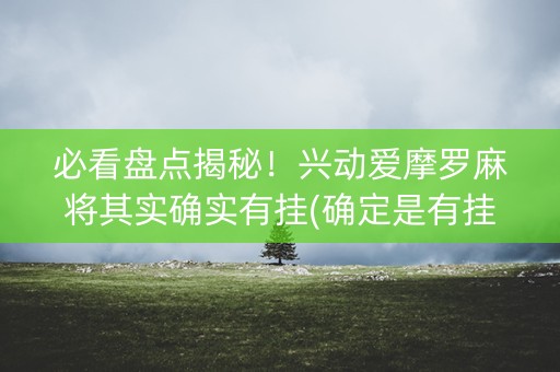 必看盘点揭秘！兴动爱摩罗麻将其实确实有挂(确定是有挂)