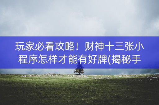 玩家必看攻略！财神十三张小程序怎样才能有好牌(揭秘手机上最新神器下载)