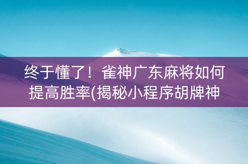 终于懂了！雀神广东麻将如何提高胜率(揭秘小程序胡牌神器)