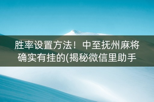 胜率设置方法！中至抚州麻将确实有挂的(揭秘微信里助手软件)