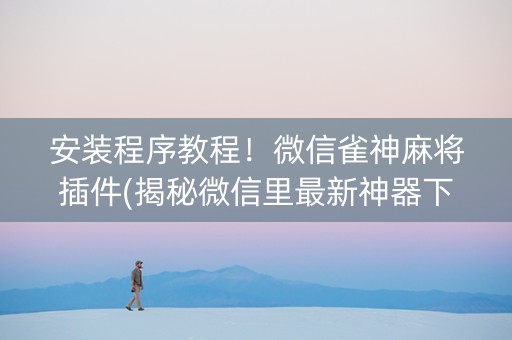 安装程序教程！微信雀神麻将插件(揭秘微信里最新神器下载)