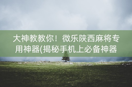 大神教教你！微乐陕西麻将专用神器(揭秘手机上必备神器)