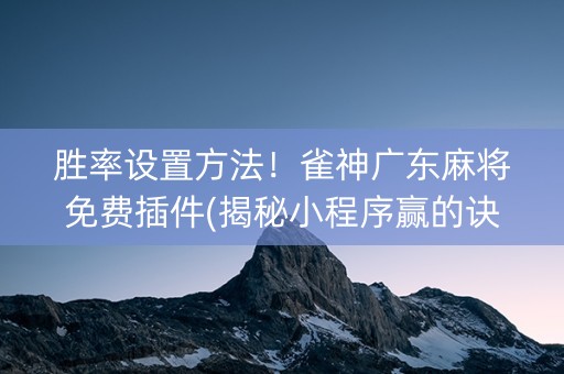 胜率设置方法！雀神广东麻将免费插件(揭秘小程序赢的诀窍)
