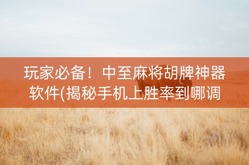 玩家必备！中至麻将胡牌神器软件(揭秘手机上胜率到哪调)