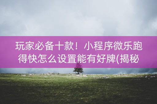 玩家必备十款！小程序微乐跑得快怎么设置能有好牌(揭秘微信里系统发好牌)