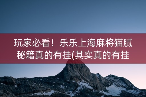 玩家必看！乐乐上海麻将猫腻秘籍真的有挂(其实真的有挂)