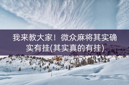 我来教大家！微众麻将其实确实有挂(其实真的有挂)