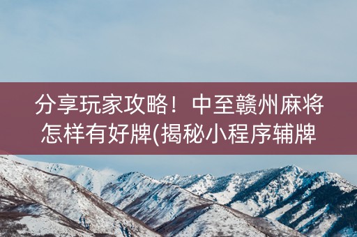 分享玩家攻略！中至赣州麻将怎样有好牌(揭秘小程序辅牌器)