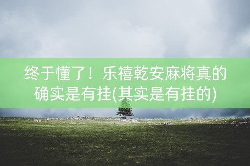 终于懂了！乐禧乾安麻将真的确实是有挂(其实是有挂的)