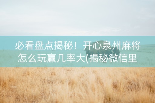 必看盘点揭秘！开心泉州麻将怎么玩赢几率大(揭秘微信里输赢规律)