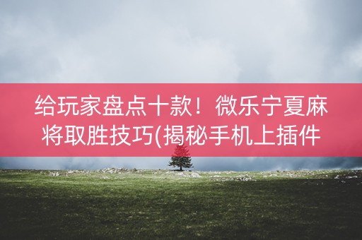 给玩家盘点十款！微乐宁夏麻将取胜技巧(揭秘手机上插件免费)