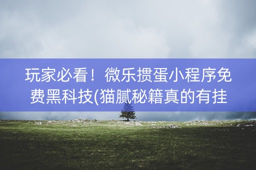 玩家必看！微乐掼蛋小程序免费黑科技(猫腻秘籍真的有挂)