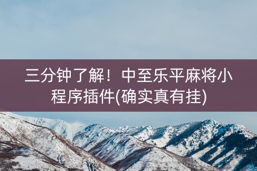三分钟了解！中至乐平麻将小程序插件(确实真有挂)