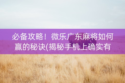 必备攻略！微乐广东麻将如何赢的秘诀(揭秘手机上确实有猫腻)