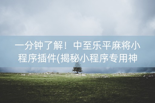 一分钟了解！中至乐平麻将小程序插件(揭秘小程序专用神器)