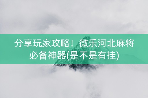 分享玩家攻略！微乐河北麻将必备神器(是不是有挂)
