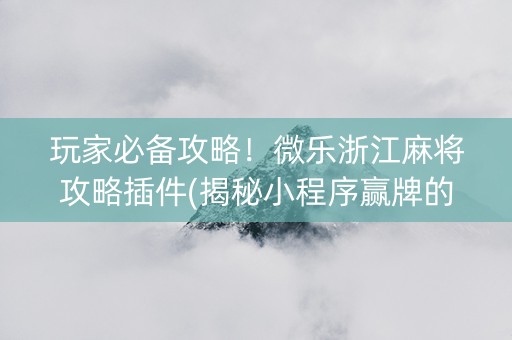玩家必备攻略！微乐浙江麻将攻略插件(揭秘小程序赢牌的技巧)
