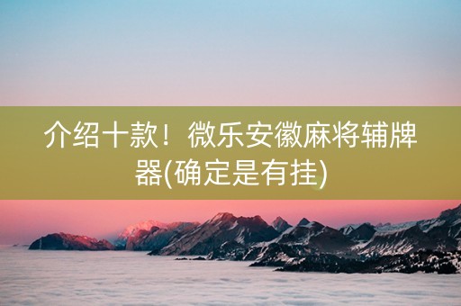 介绍十款！微乐安徽麻将辅牌器(确定是有挂)