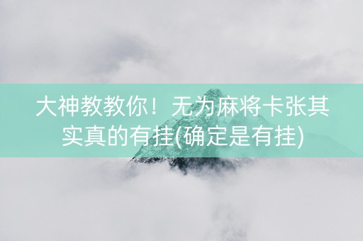 大神教教你！无为麻将卡张其实真的有挂(确定是有挂)