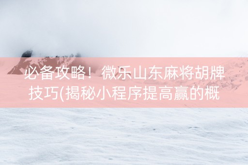 必备攻略！微乐山东麻将胡牌技巧(揭秘小程序提高赢的概率)
