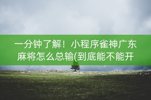 一分钟了解！小程序雀神广东麻将怎么总输(到底能不能开挂)