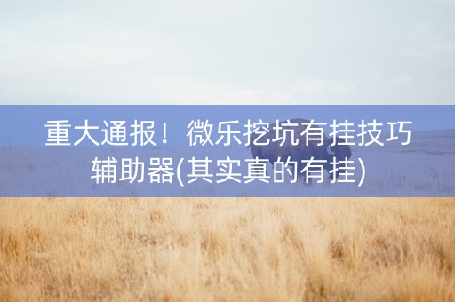 重大通报！微乐挖坑有挂技巧辅助器(其实真的有挂)