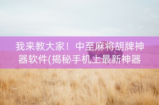 我来教大家！中至麻将胡牌神器软件(揭秘手机上最新神器下载)