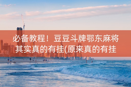 必备教程！豆豆斗牌鄂东麻将其实真的有挂(原来真的有挂)