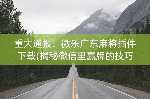 重大通报！微乐广东麻将插件下载(揭秘微信里赢牌的技巧)