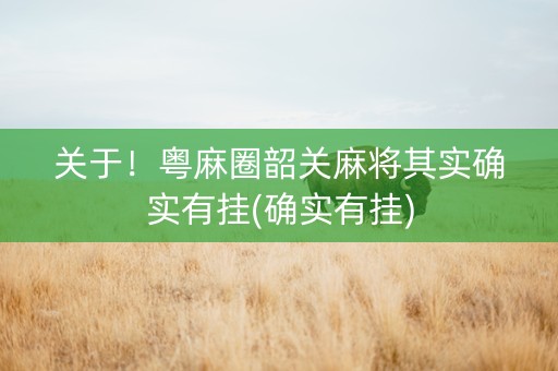 关于！粤麻圈韶关麻将其实确实有挂(确实有挂)