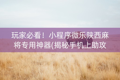 玩家必看！小程序微乐陕西麻将专用神器(揭秘手机上助攻神器)