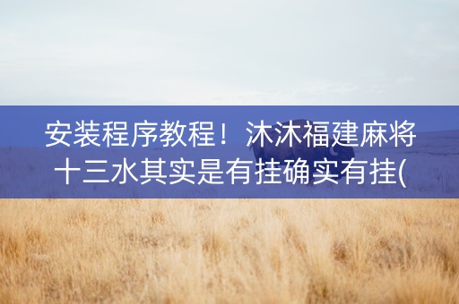 安装程序教程！沐沐福建麻将十三水其实是有挂确实有挂(确实有挂吗)