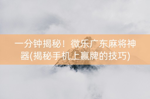一分钟揭秘！微乐广东麻将神器(揭秘手机上赢牌的技巧)