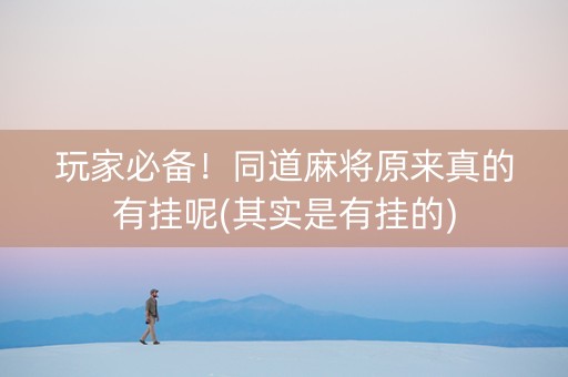 玩家必备！同道麻将原来真的有挂呢(其实是有挂的)